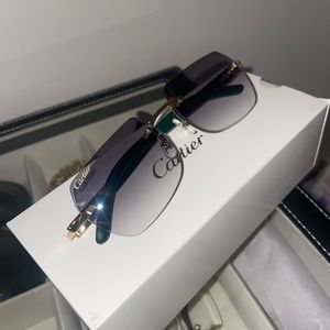 Cartier Buffalo Horn Sunglasses. SOLD*